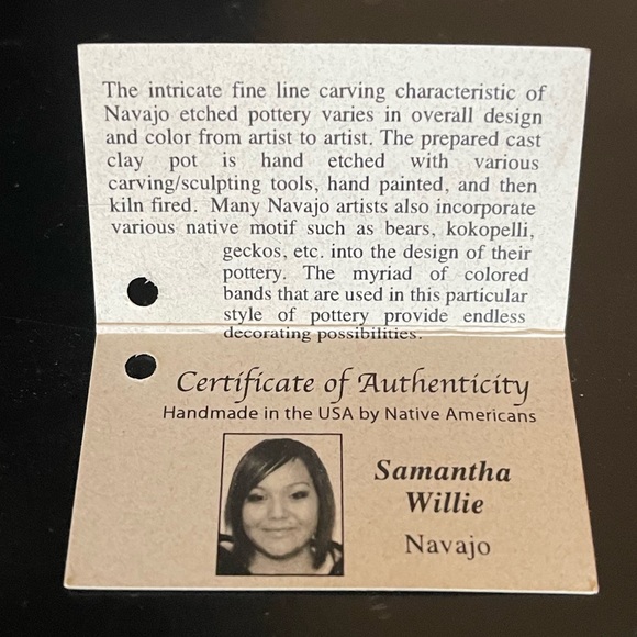 Navajo Horse Hair Pottery - Picture 2 of 3